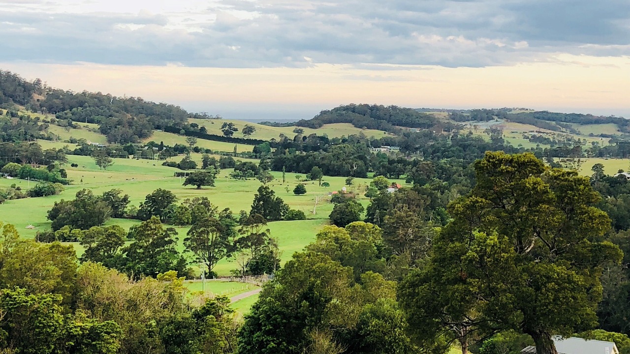 Photo of Others in Foxground