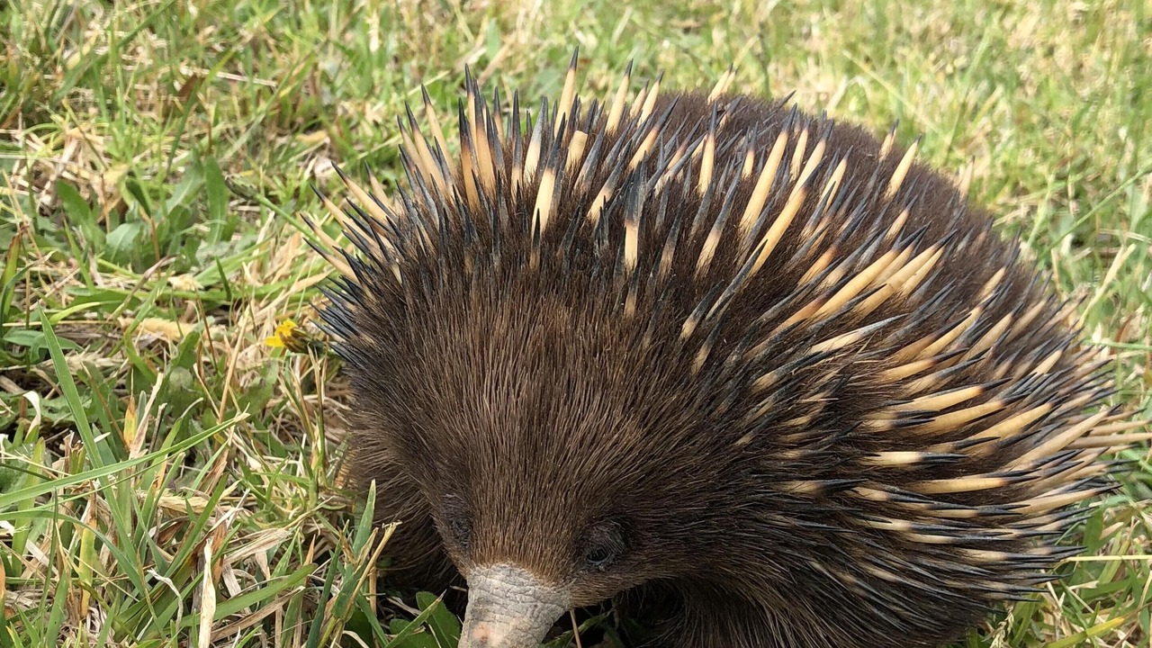 Photo of Outdoor in Foxground