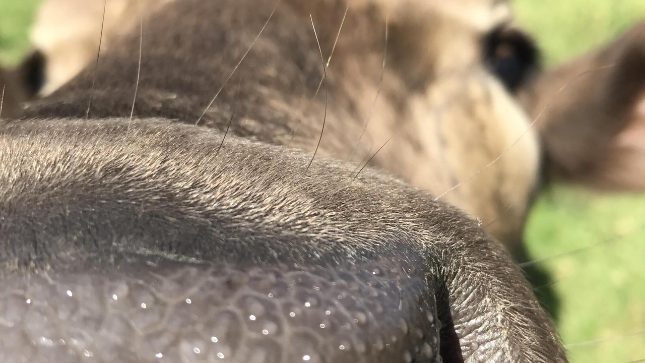 Photo of Outdoor in Foxground