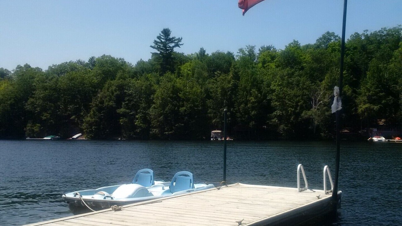 Photo of Outdoor in Algonquin Highlands