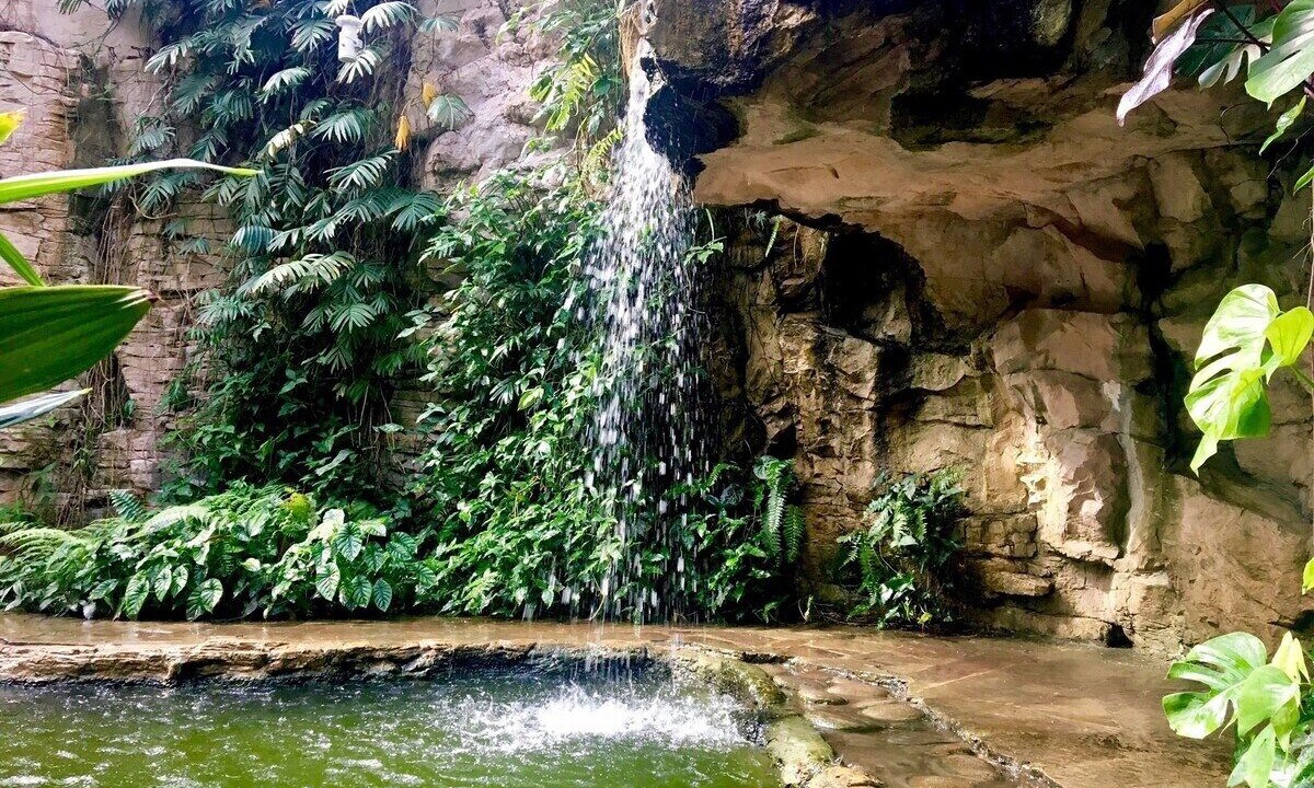 Photo of Others in Mahncke Park