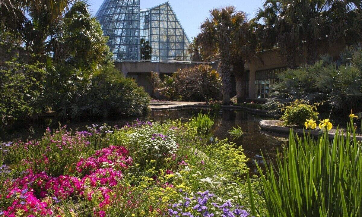 Photo of Others in Mahncke Park