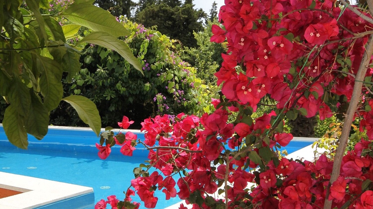 Photo of Outdoor in Mlini