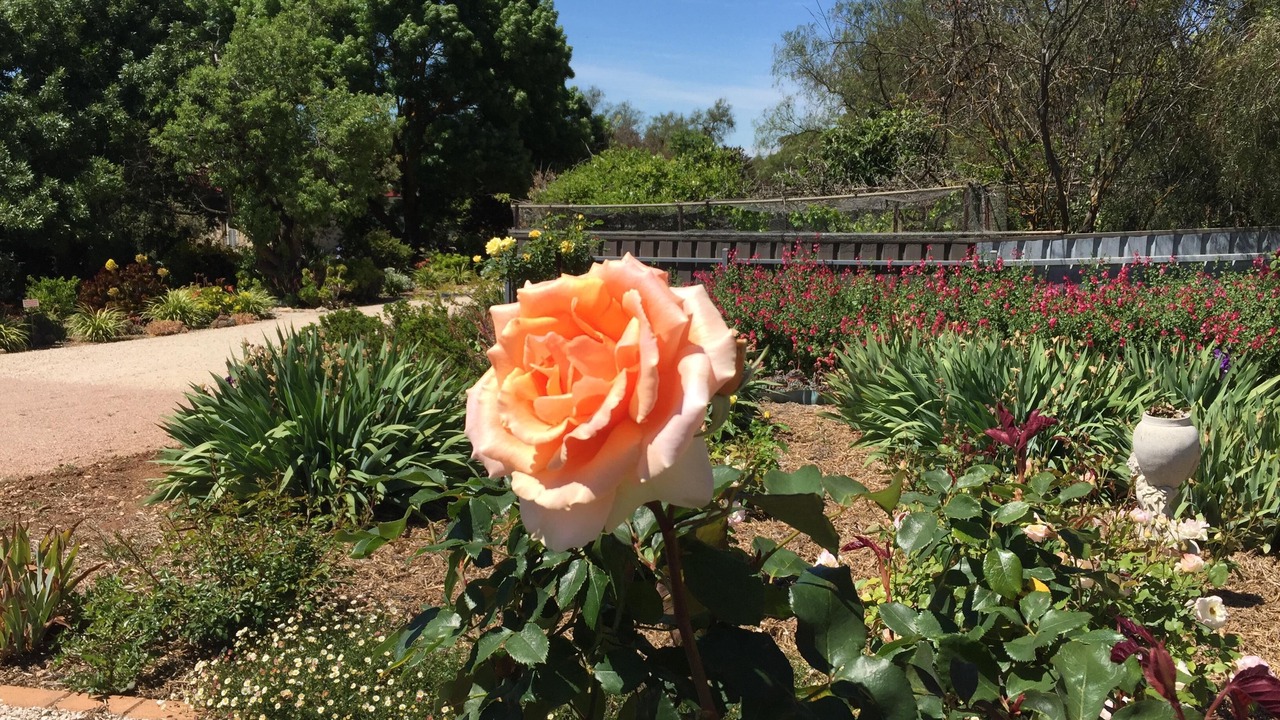 Photo of Outdoor in Upper Wakefield