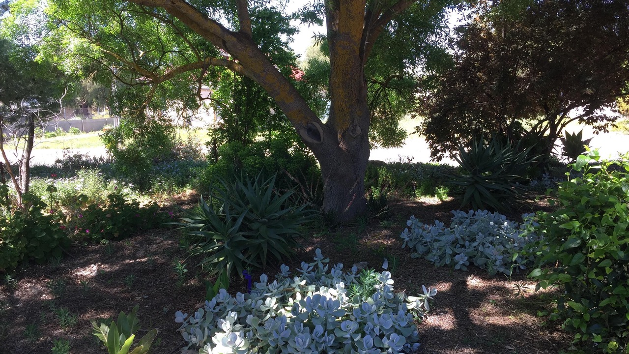 Photo of Outdoor in Upper Wakefield