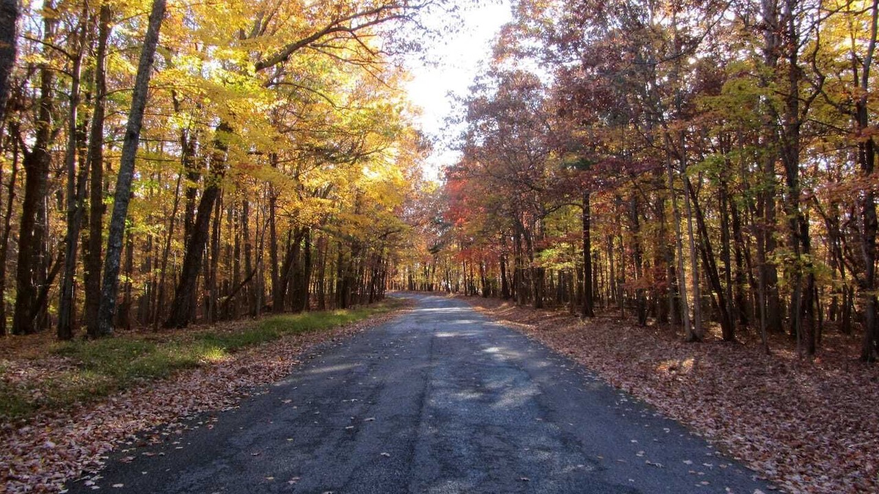 Photo of Others in Huddleston