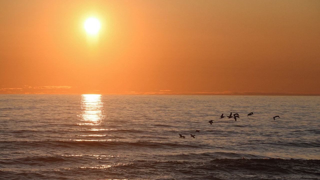 Photo of Others in Yachats