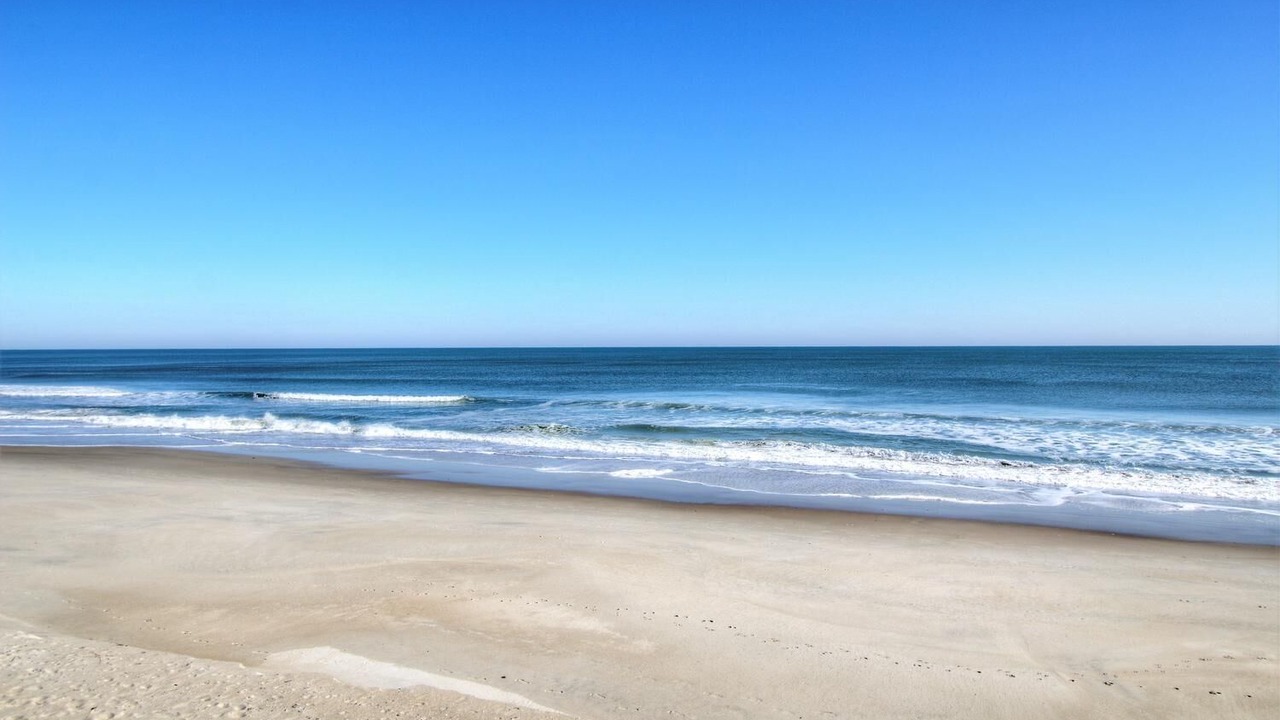 Photo of Others in Wilmington Beach