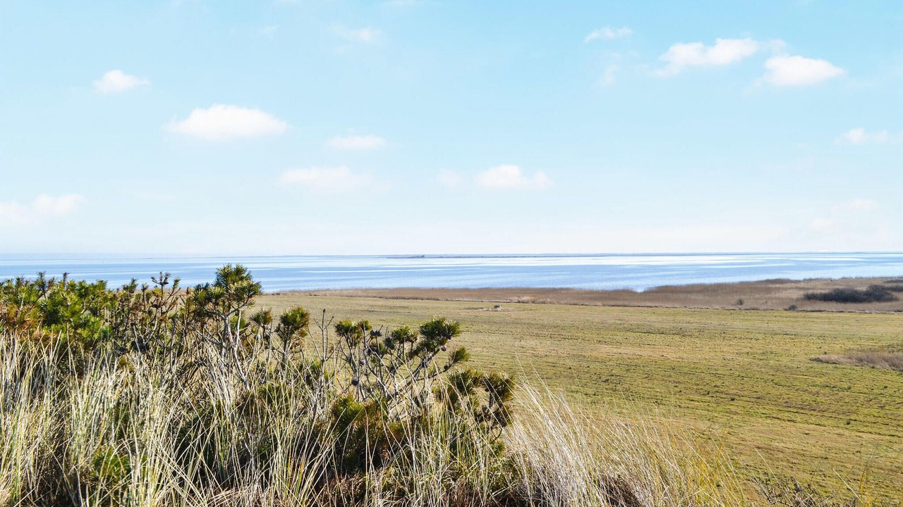 Photo of Others in Hvide Sande