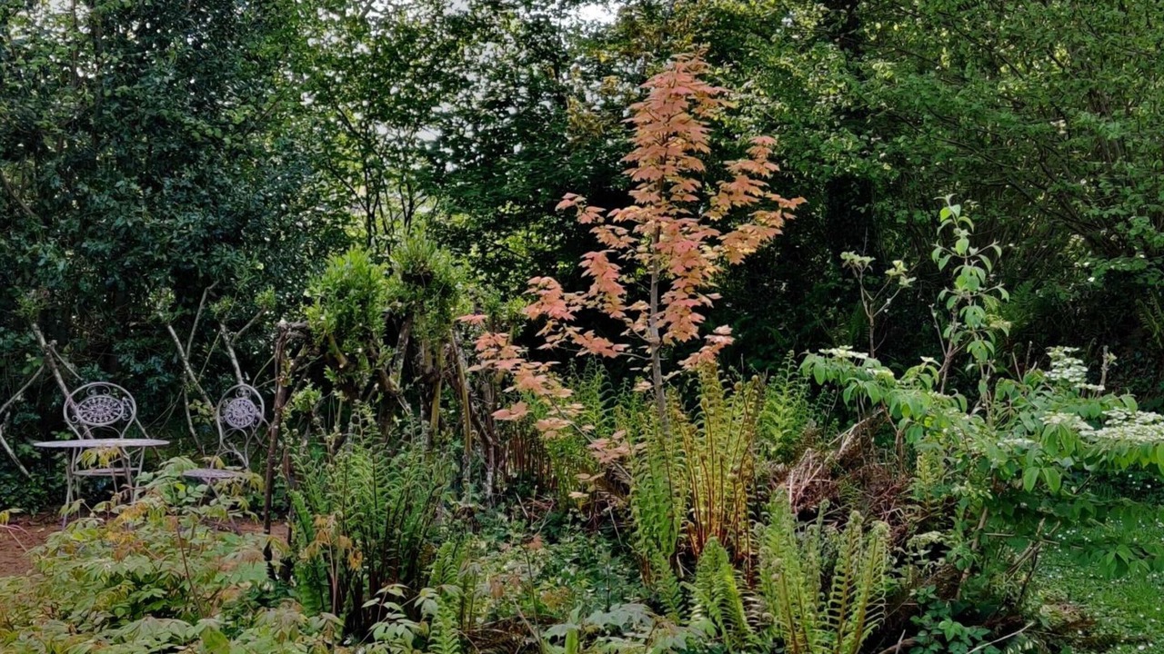 Photo of Outdoor in Grosville