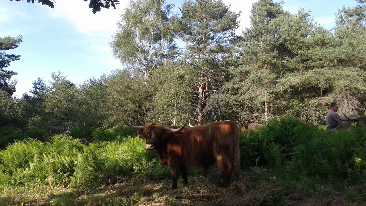 Photo of Outdoor in La Nouaille