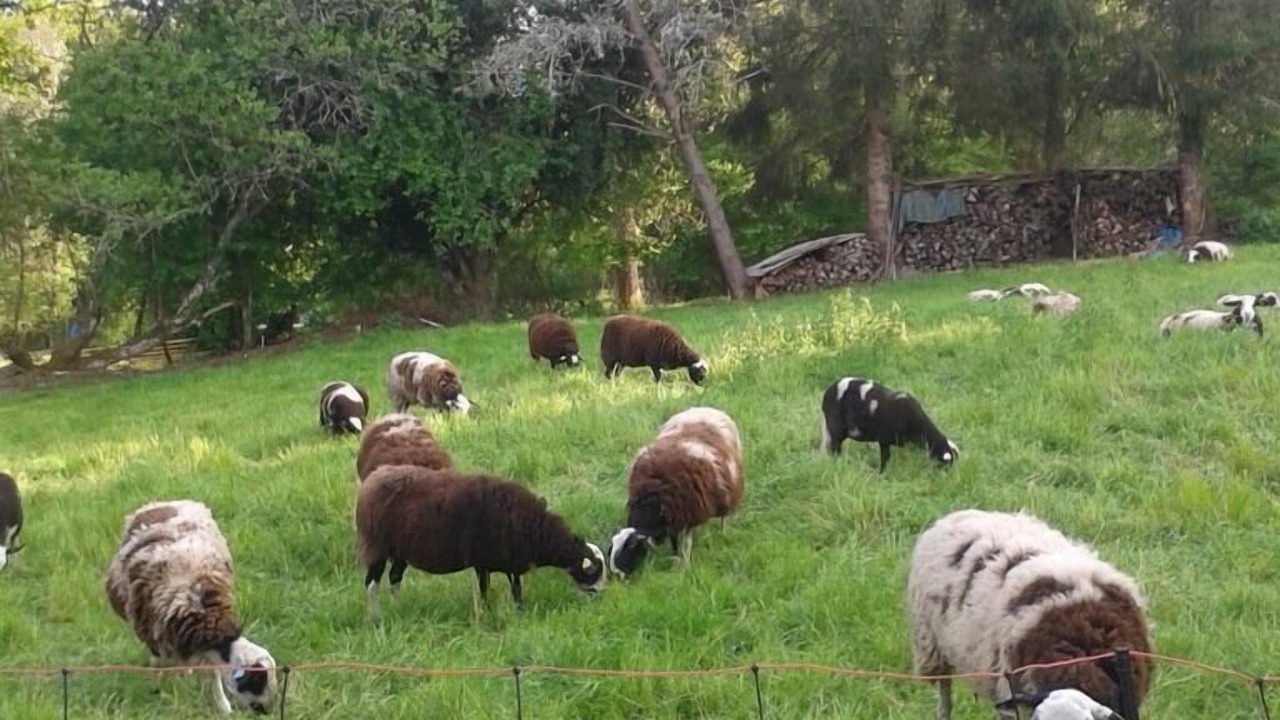 Photo of Outdoor in La Nouaille