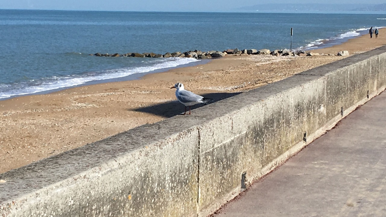 Photo of Others in Cabourg