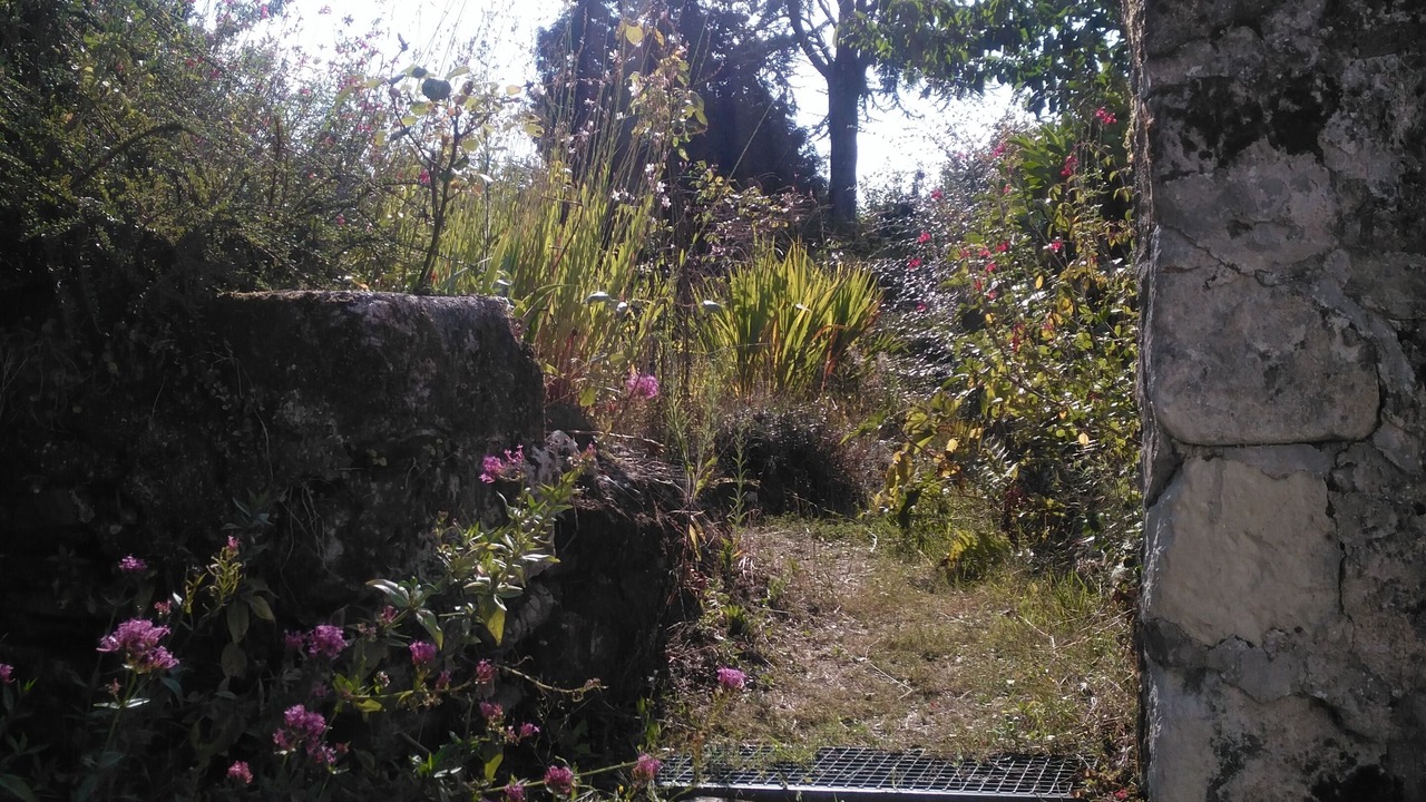 Photo of Outdoor in Frossay