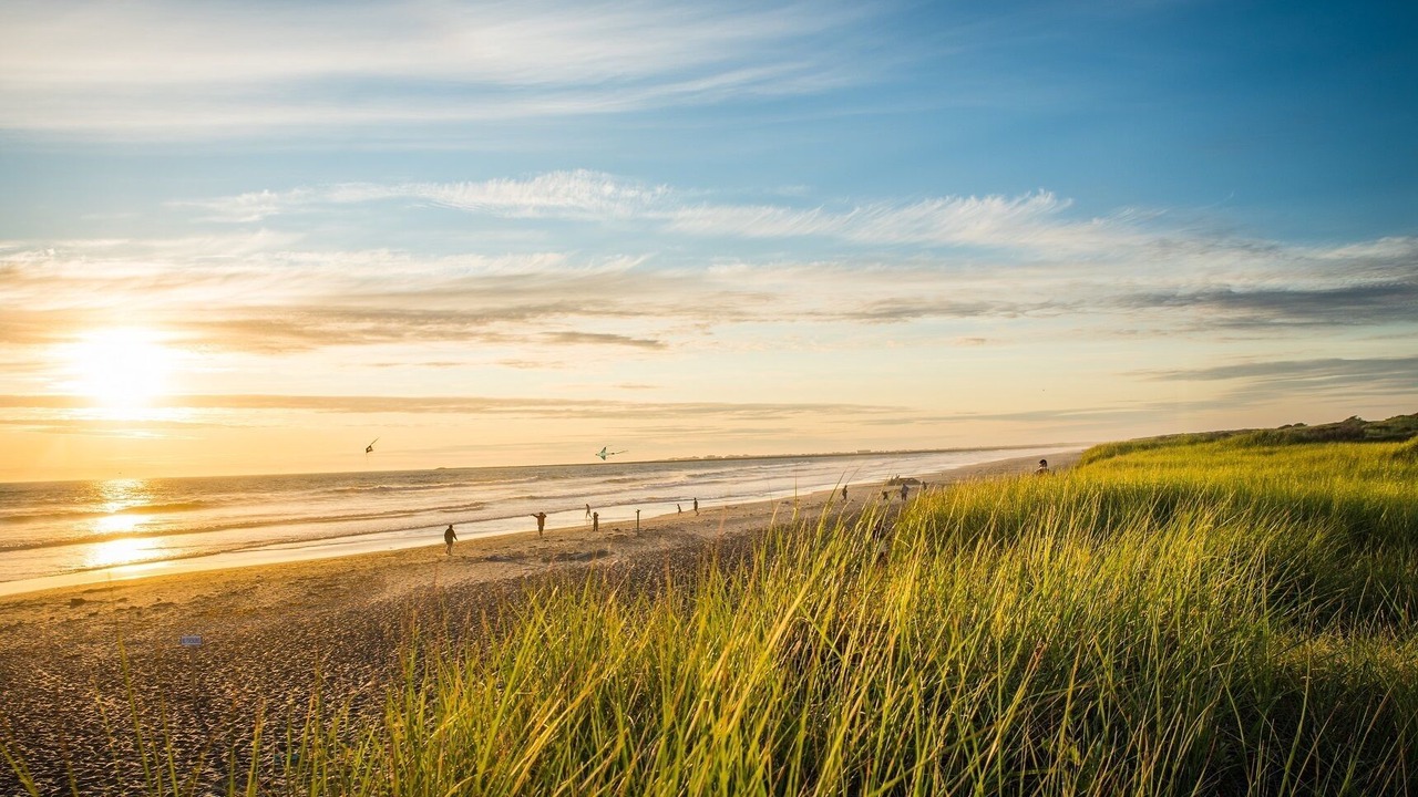 Photo of Others in Westport