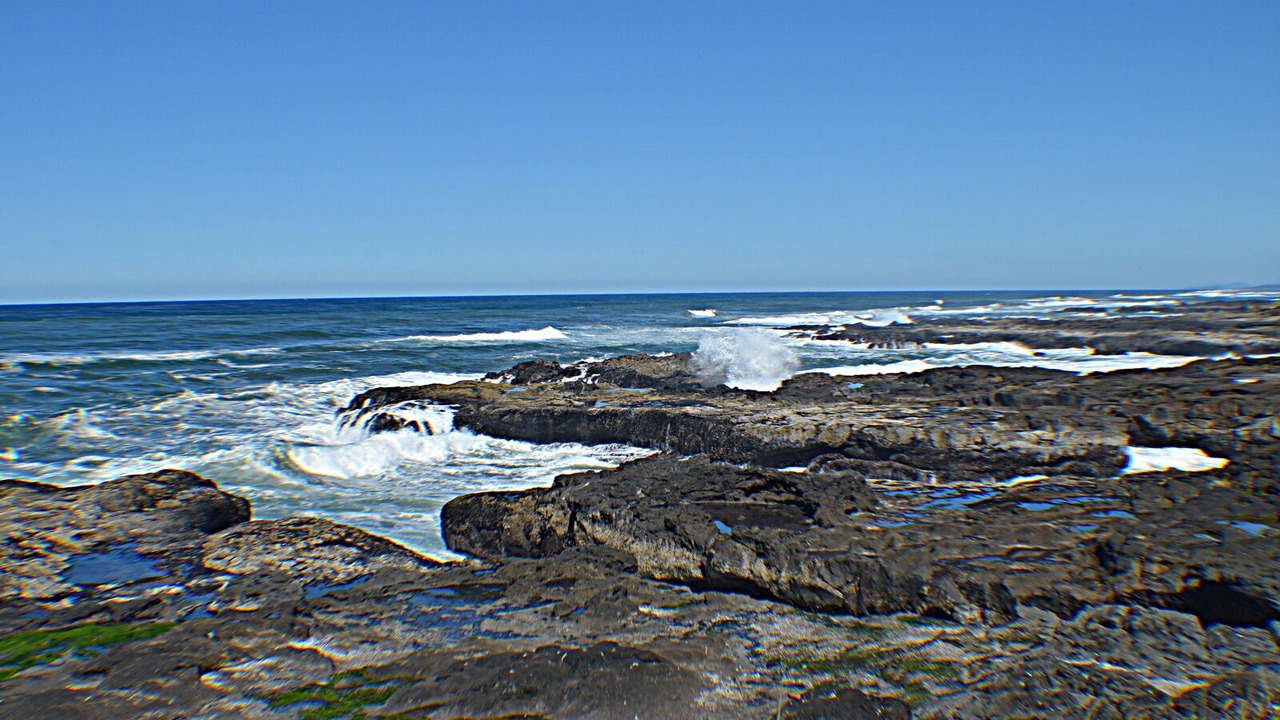 Photo of Others in Yachats