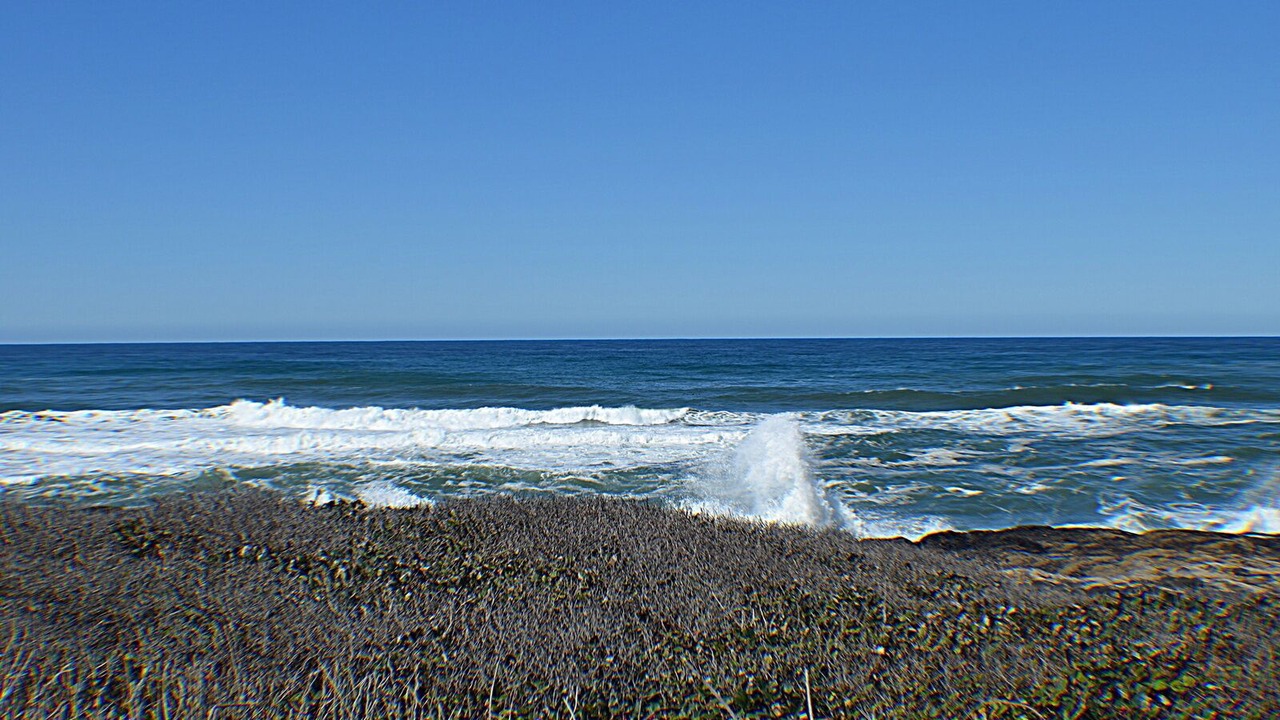 Photo of Others in Yachats
