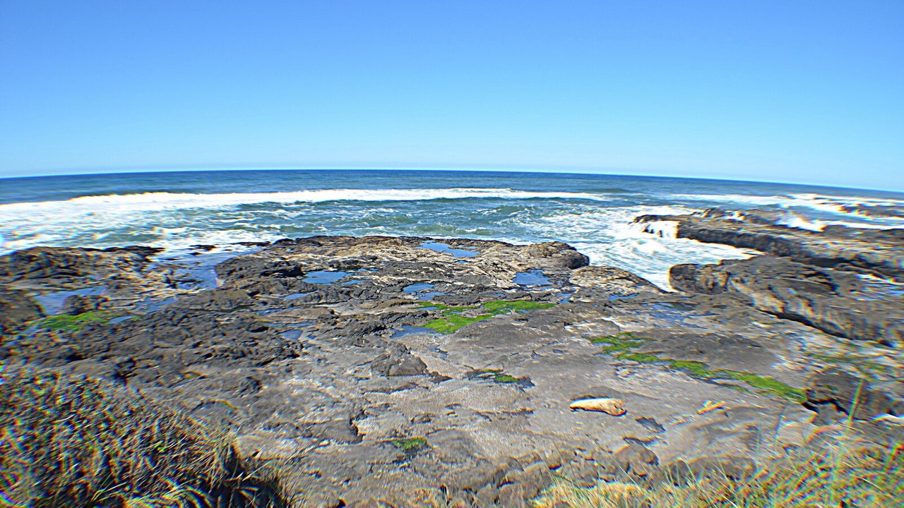 Photo of Others in Yachats