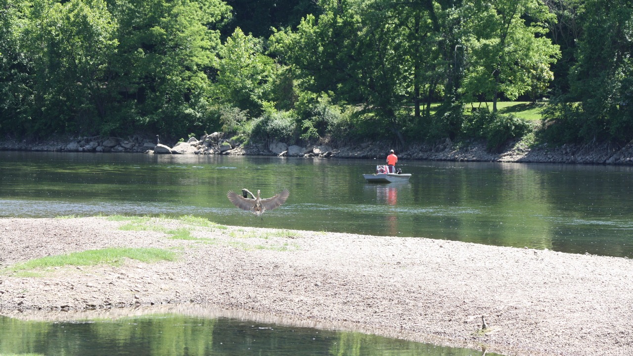 Photo of Others in Cotter