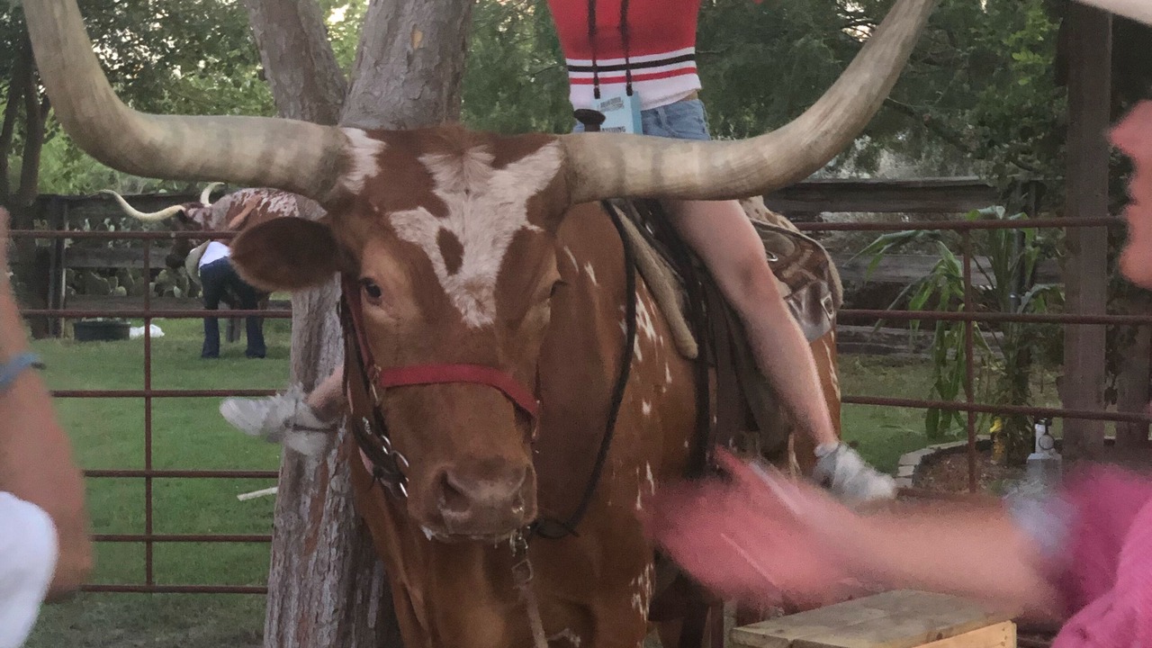 Photo of Others in Fort Worth