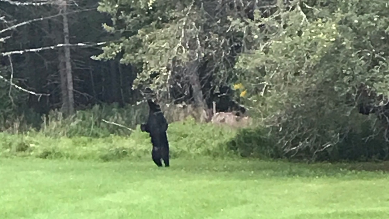 Photo of Others in Elka Park