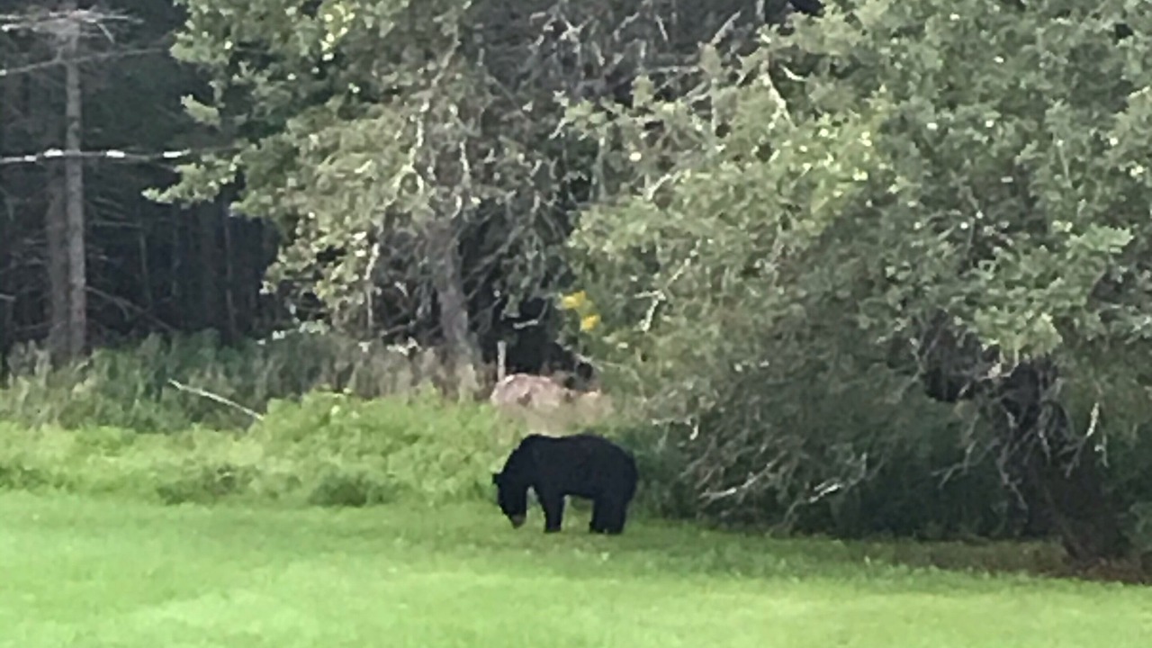 Photo of Others in Elka Park