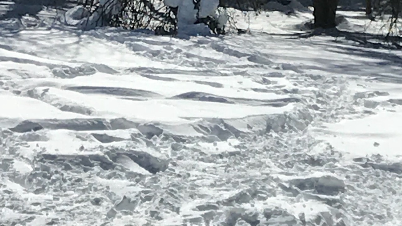 Photo of Others in Elka Park