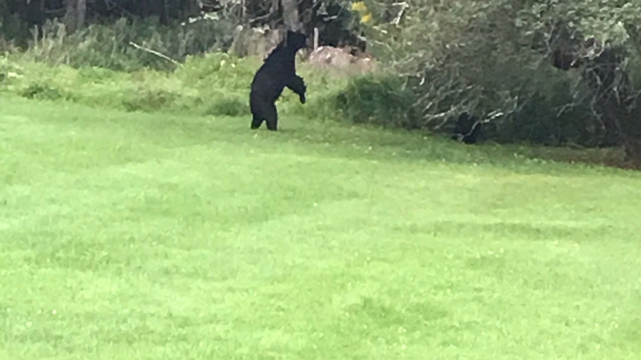 Photo of Others in Elka Park