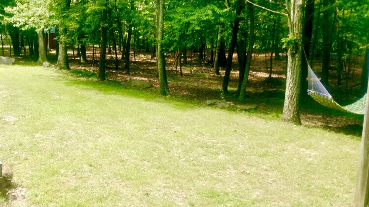 Photo of Others in East Stroudsburg