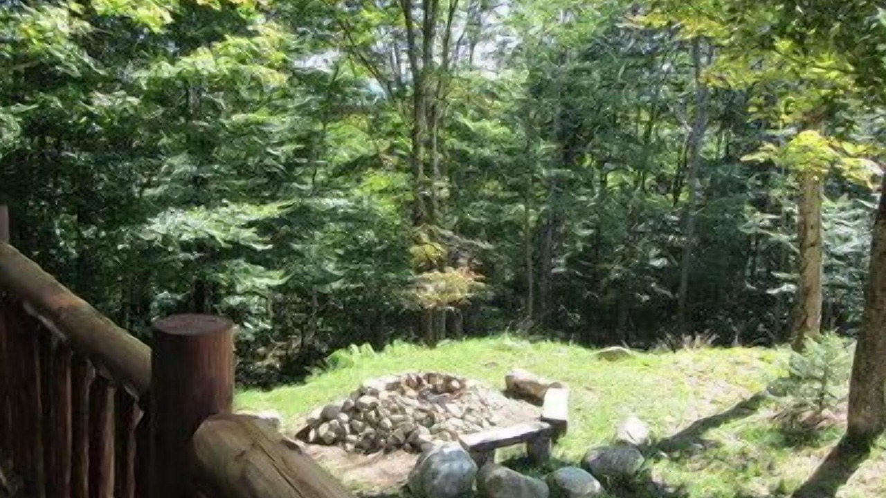 Photo of Livingroom in Lake Placid