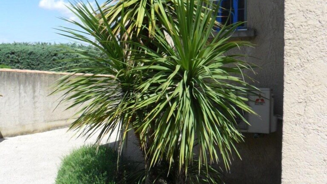 Photo of Outdoor in Maillane