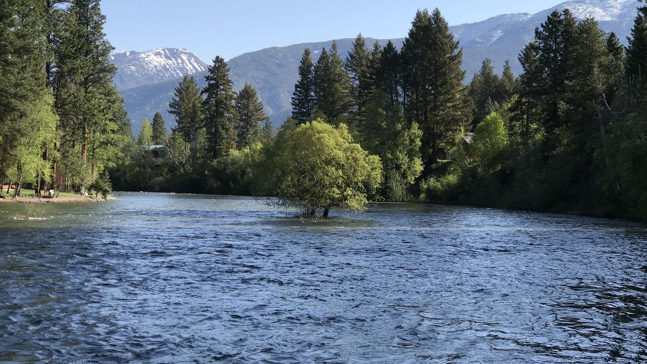 Photo of Others in Bigfork