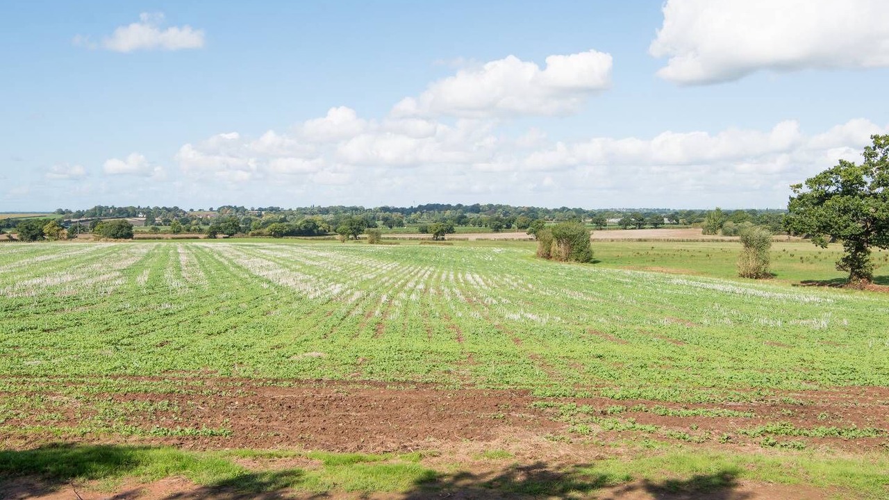 Photo of Others in Tarvin