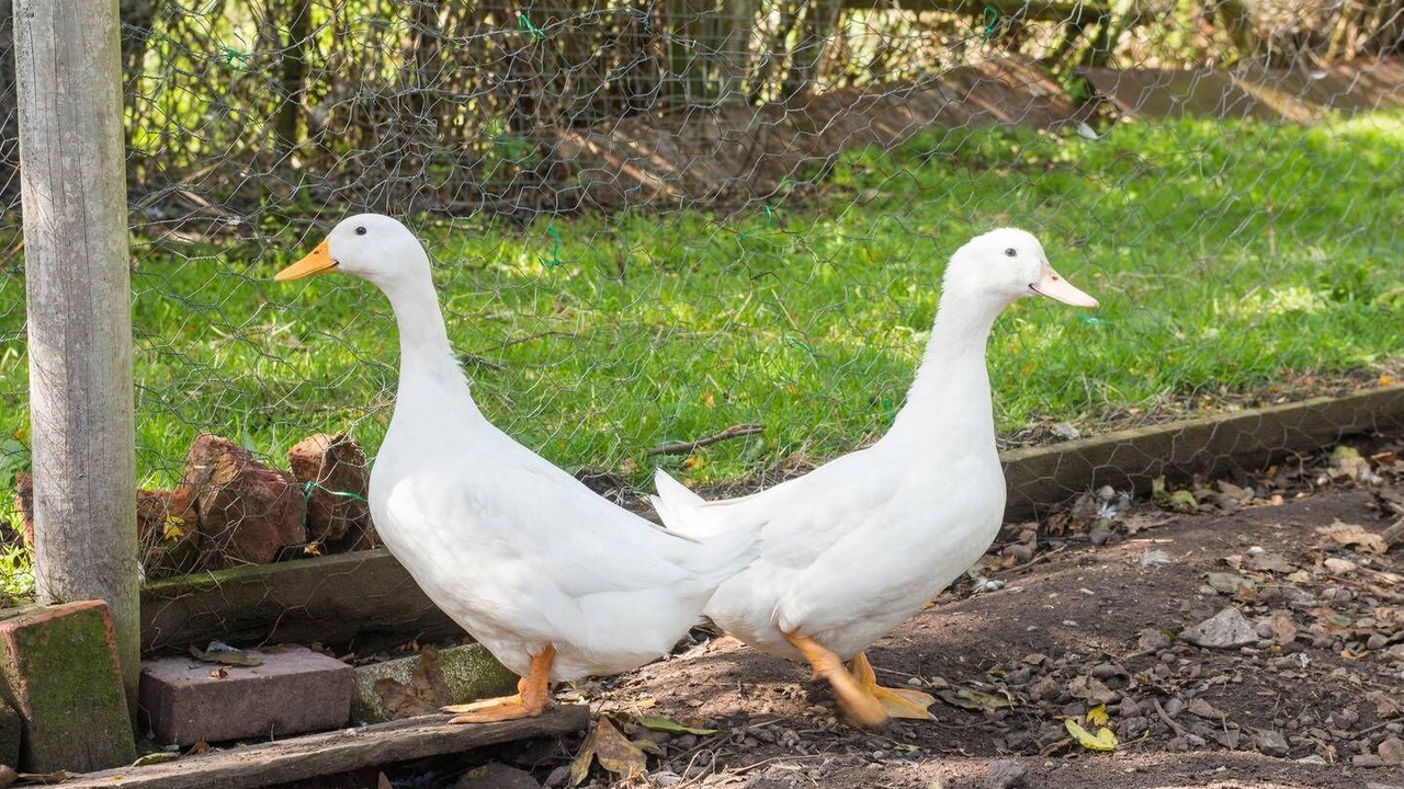 Photo of Outdoor in Tarvin