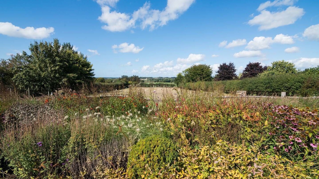 Photo of Others in Tarvin