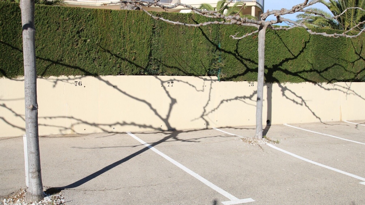 Photo of Outdoor in Miami Platja