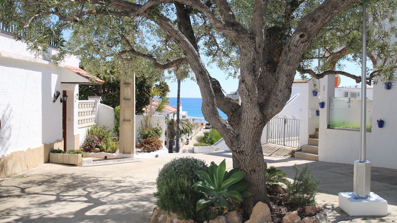 Photo of Outdoor in Miami Platja