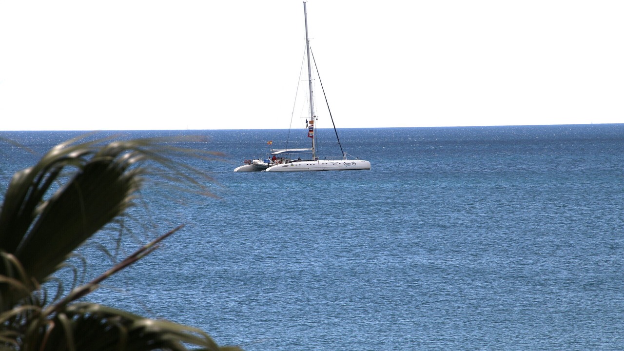 Photo of Others in Miami Platja