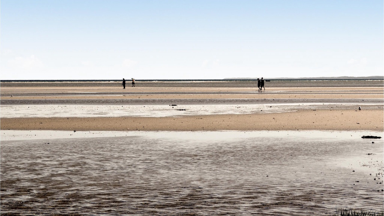 Photo of Others in Ørsted