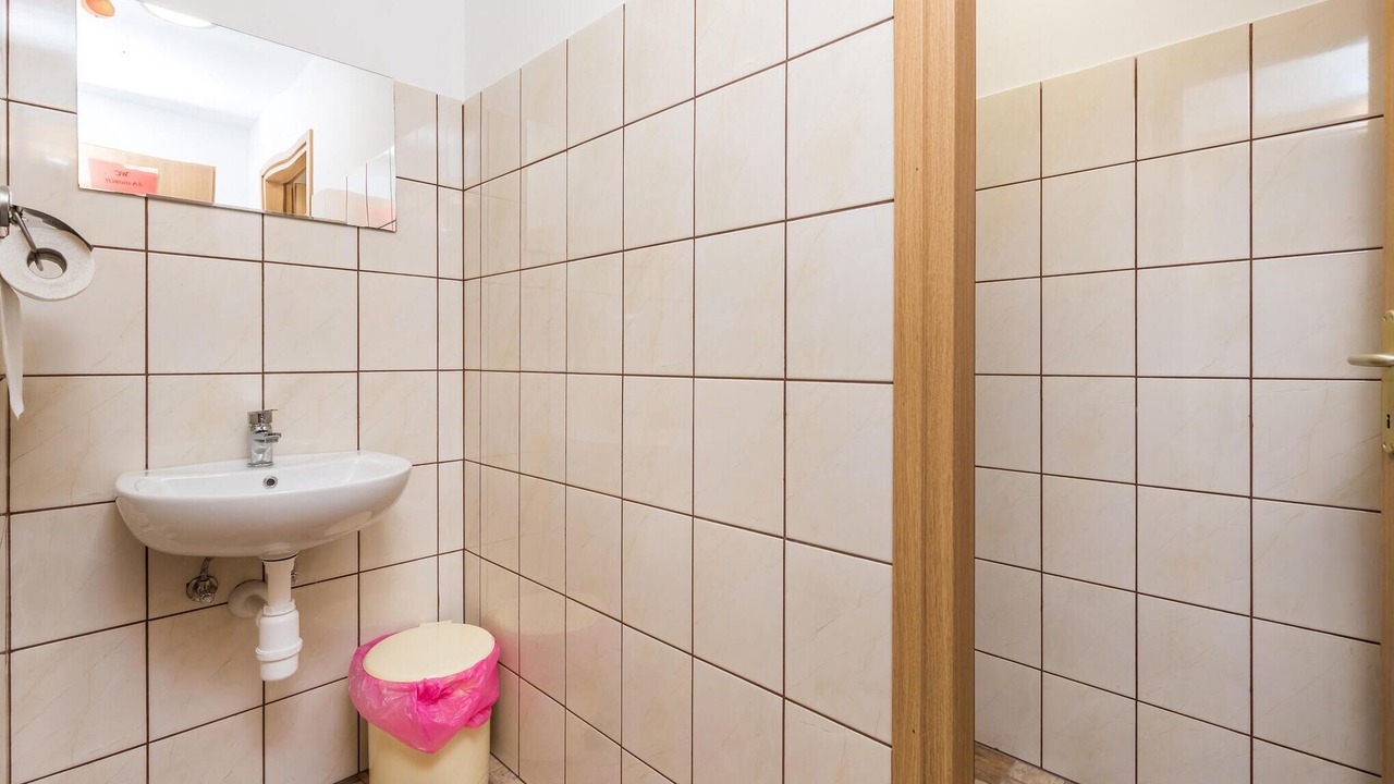 Photo of Bathroom in Ribnik