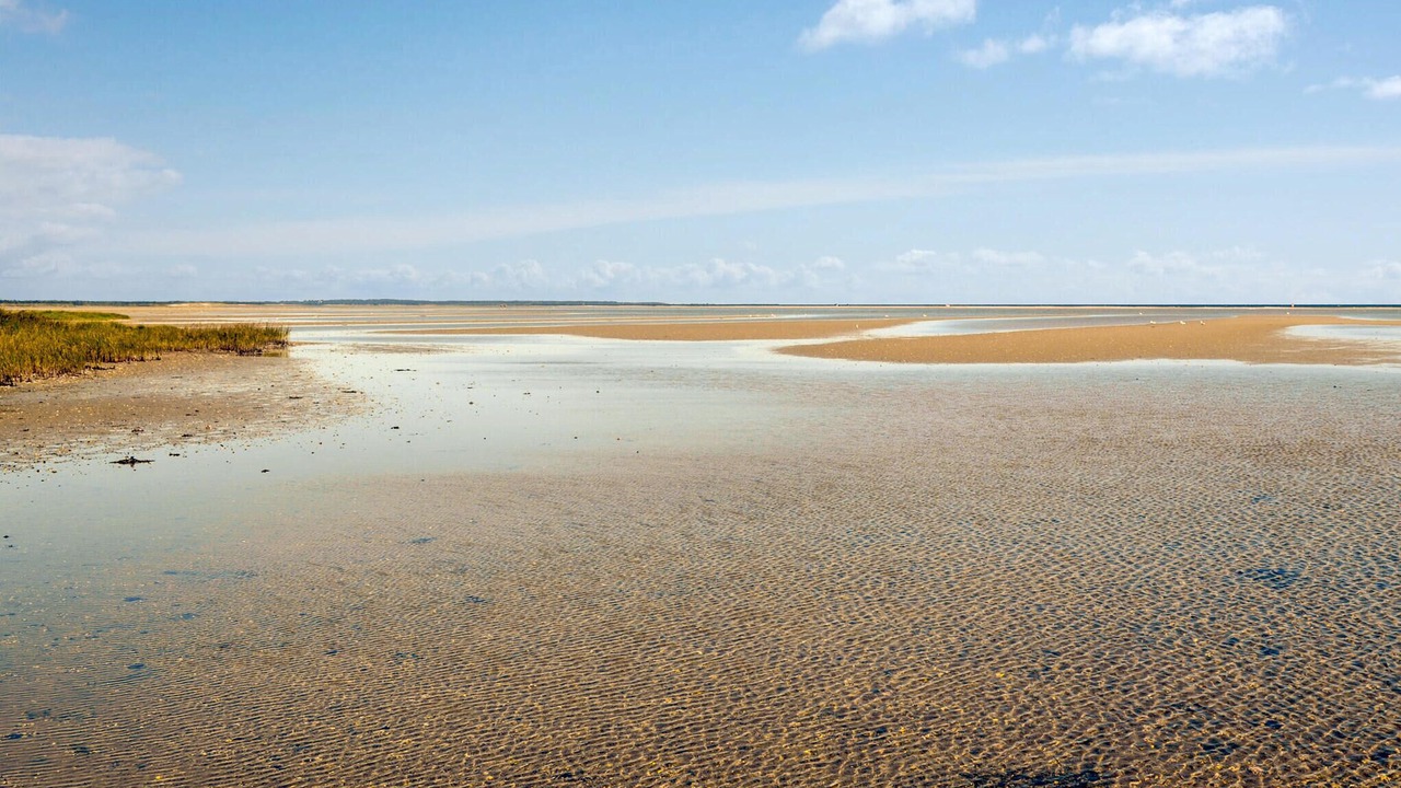 Photo of Others in Ørsted