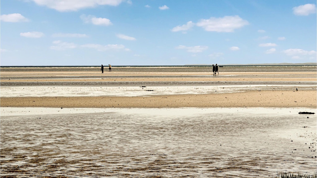 Photo of Others in Ørsted