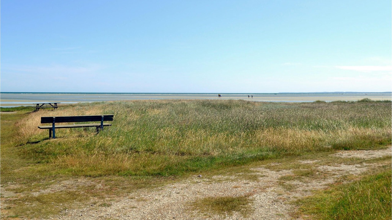 Photo of Others in Ørsted