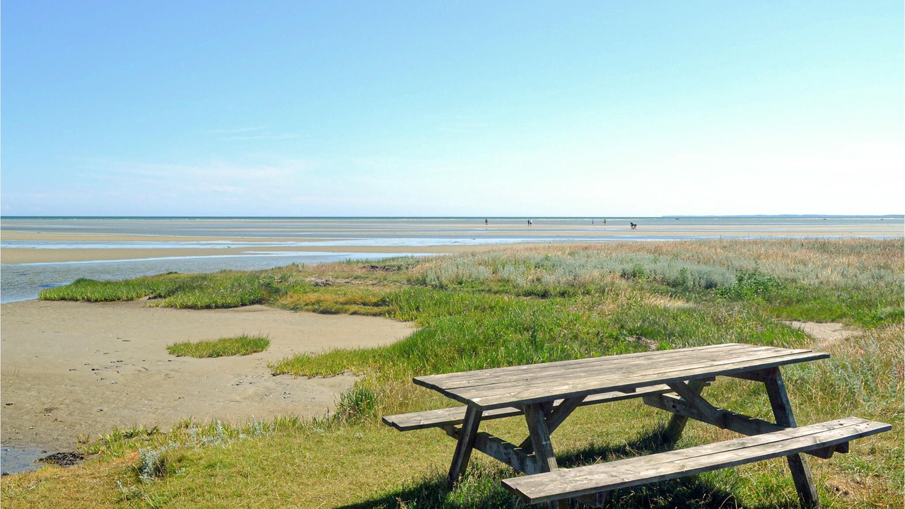 Photo of Others in Ørsted