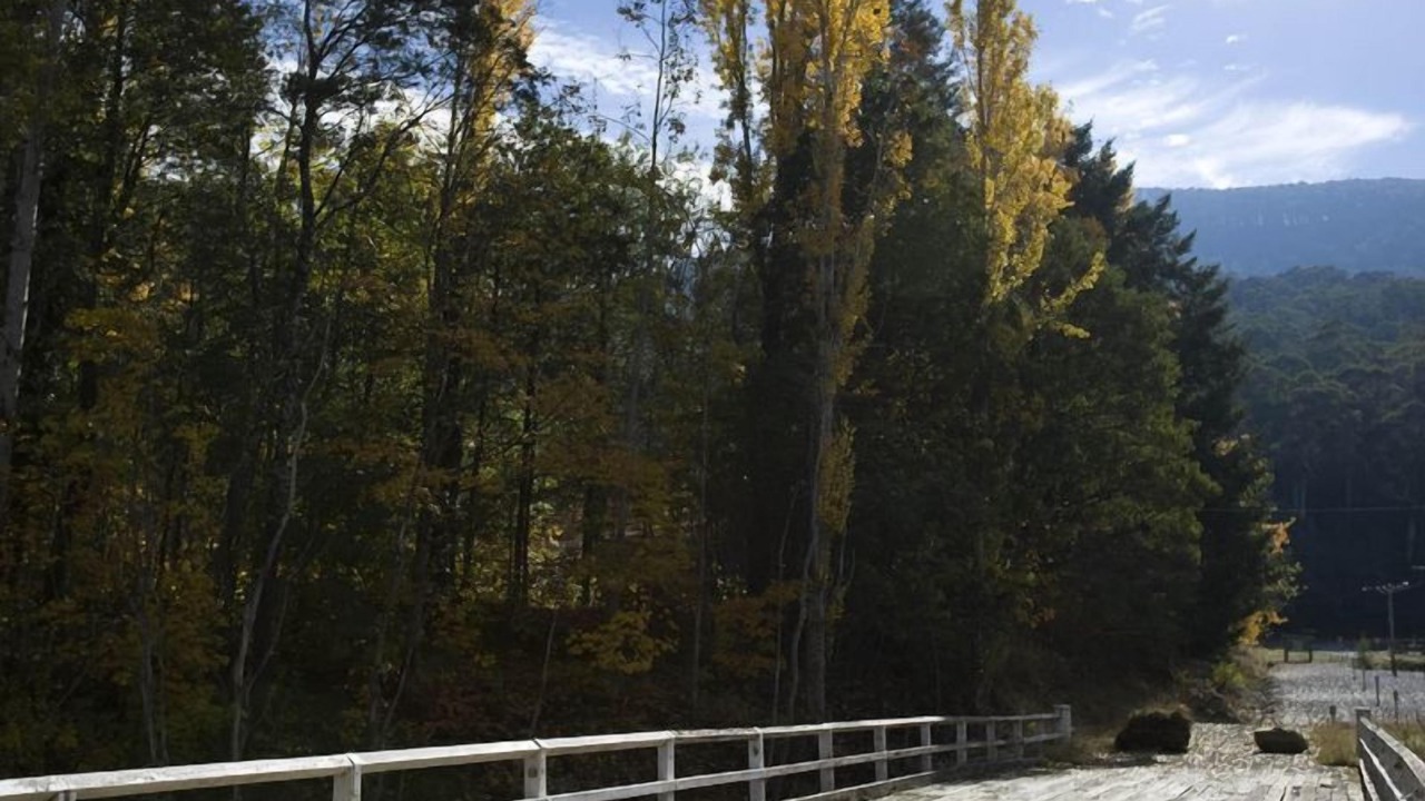 Photo of Others in Sawmill Settlement