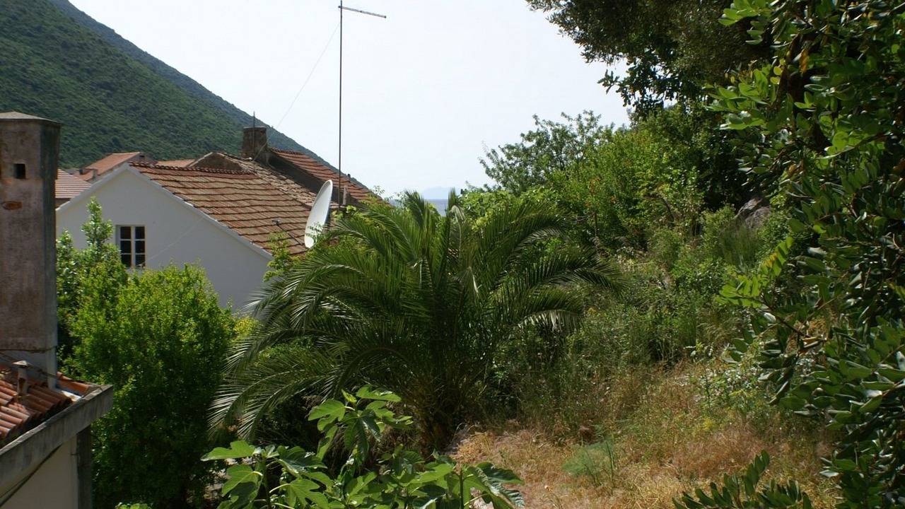 Photo of Others in Trpanj