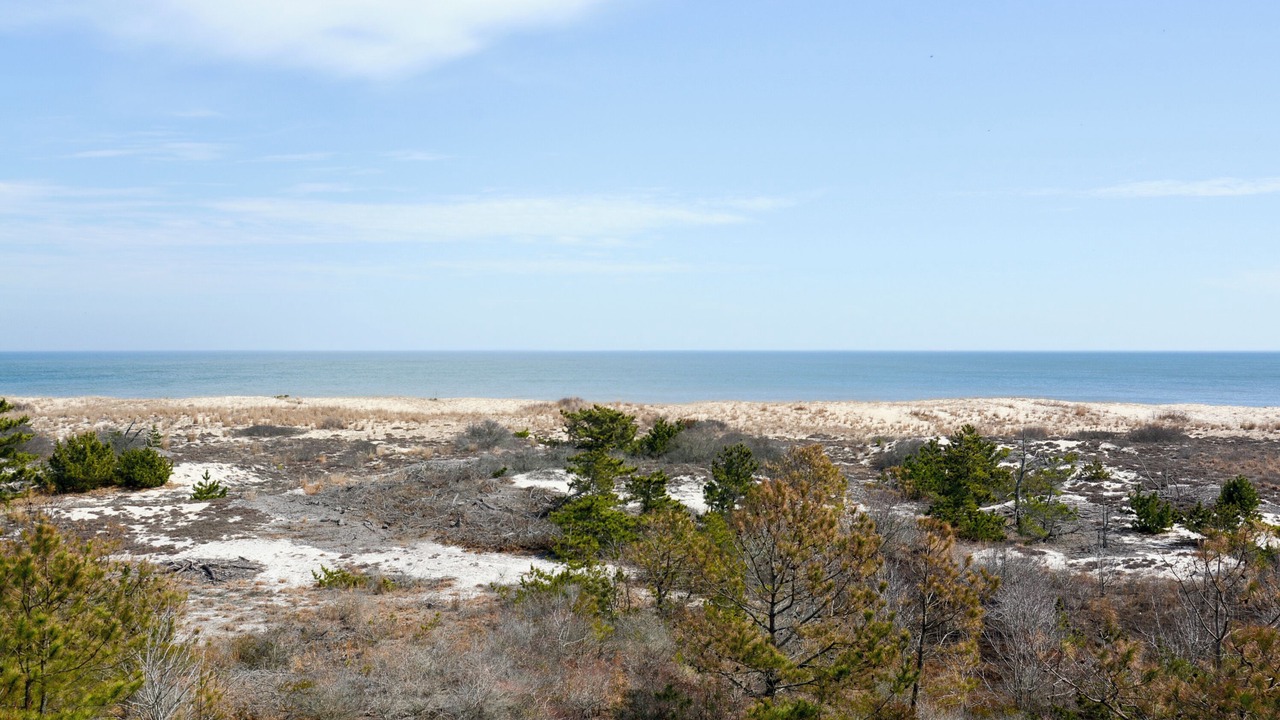 Photo of Others in Bethany Beach