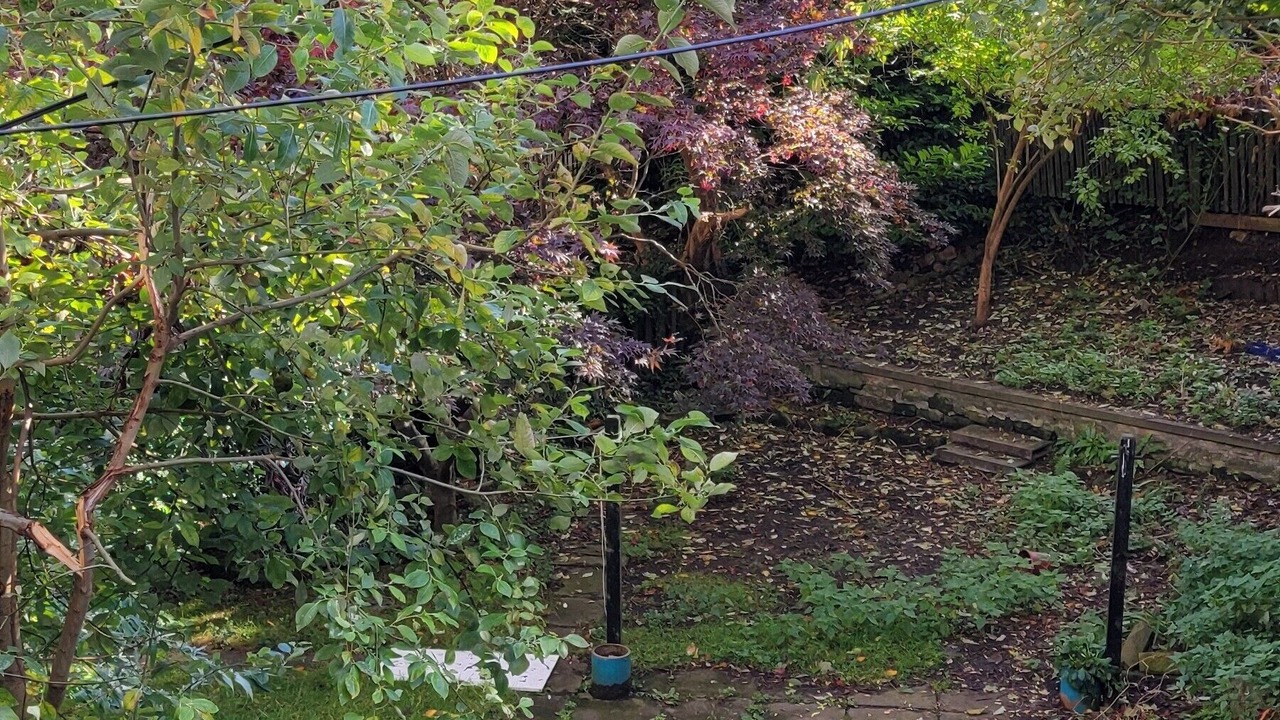 Photo of Outdoor in Bonnington