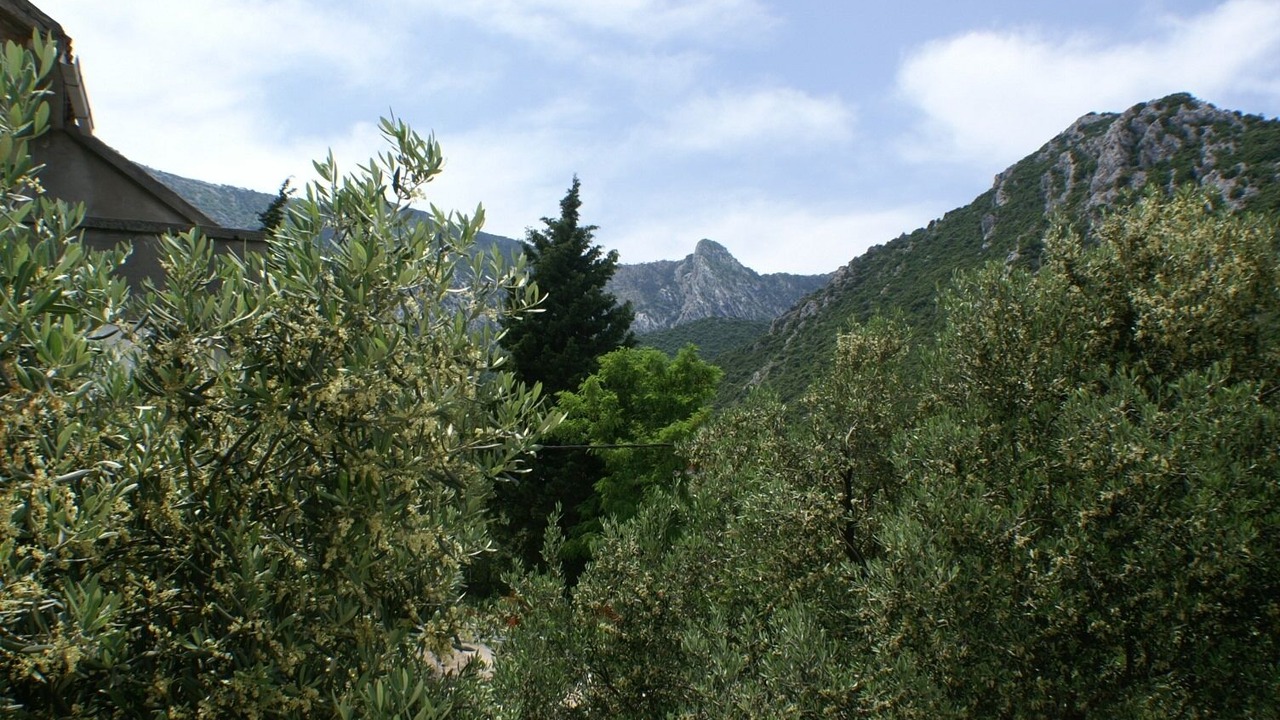Photo of Patio Balcony in Duba Peljeska