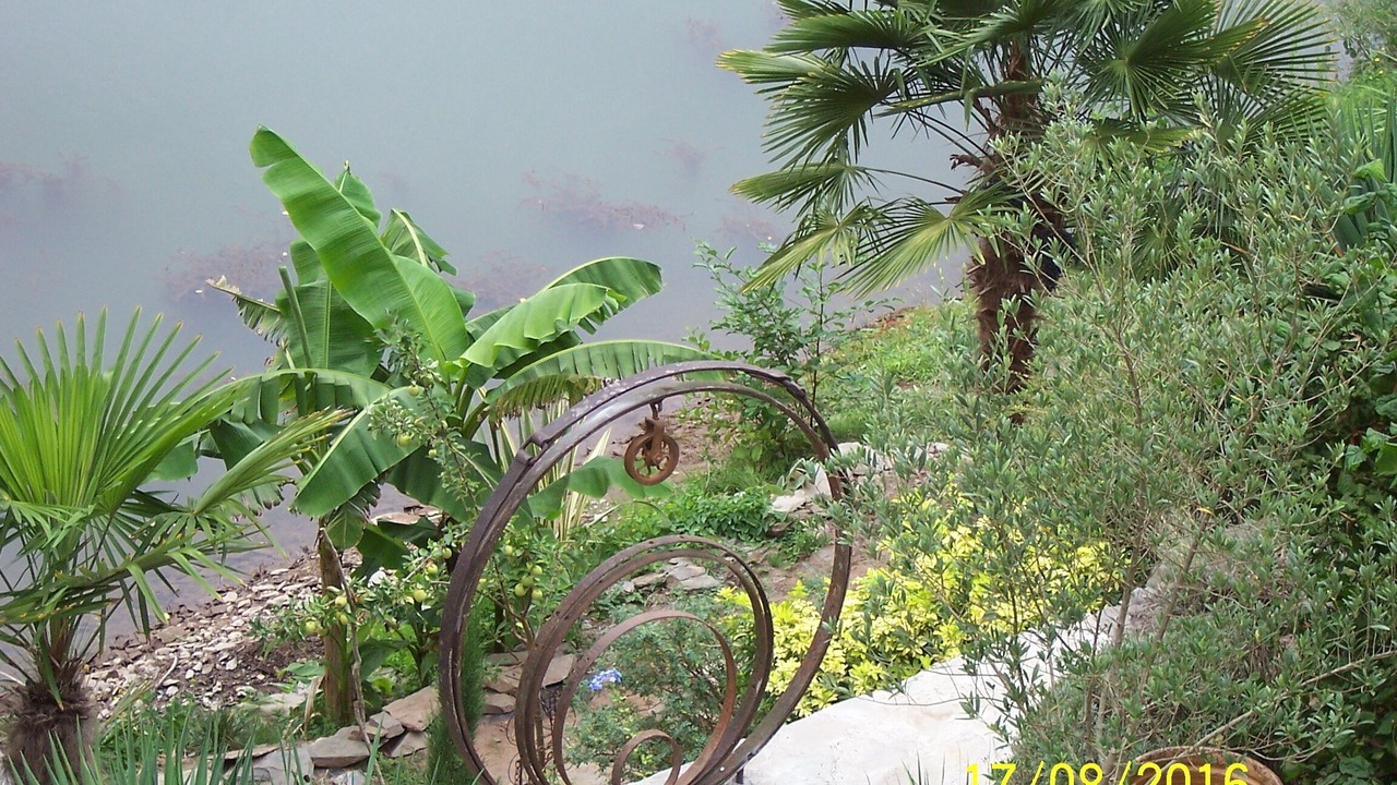 Photo of Outdoor in Requista